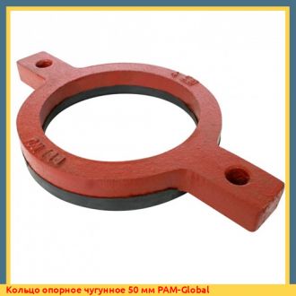 Кольцо опорное чугунное 125 мм PAM-Global
