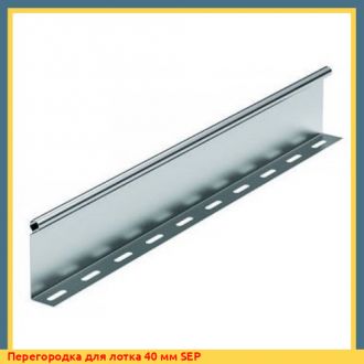 Перегородка для лотка 70 мм SEP