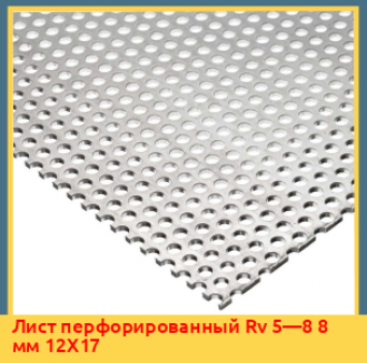 Лист перфорированный Rv 5—8 8 мм 12X17