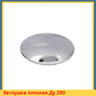 Заглушка плоская Ду 200